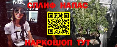 PSILOCYBIN Камень-на-Оби
