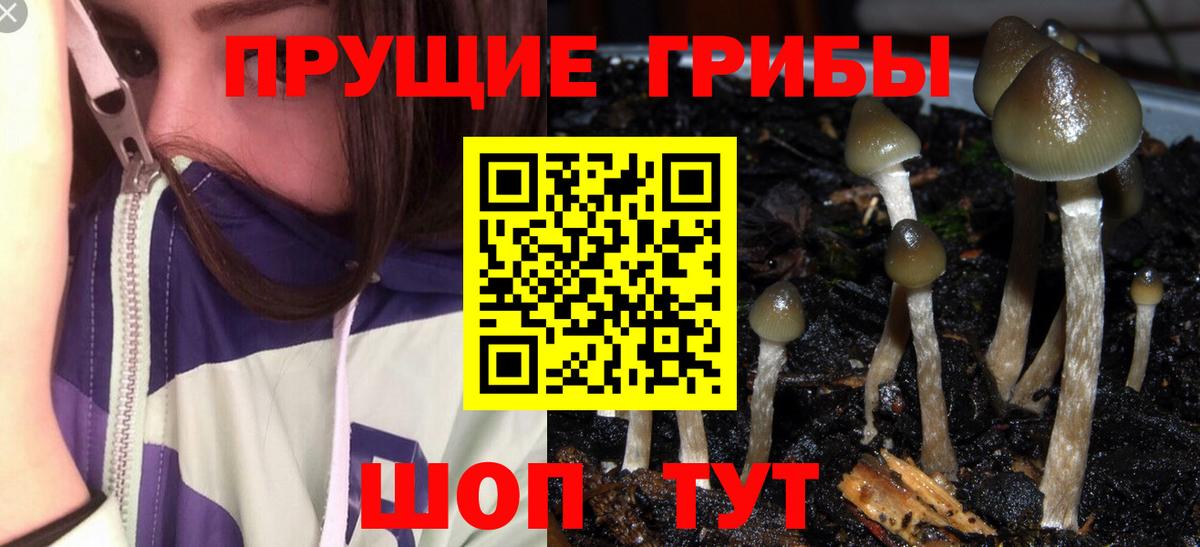 Галлюциногенные грибы мицелий  Вход с VPN  Псилоцибиновые грибы Magic Shrooms  Луховицы 